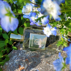 Отзывы Mizensir Bois Iridescent