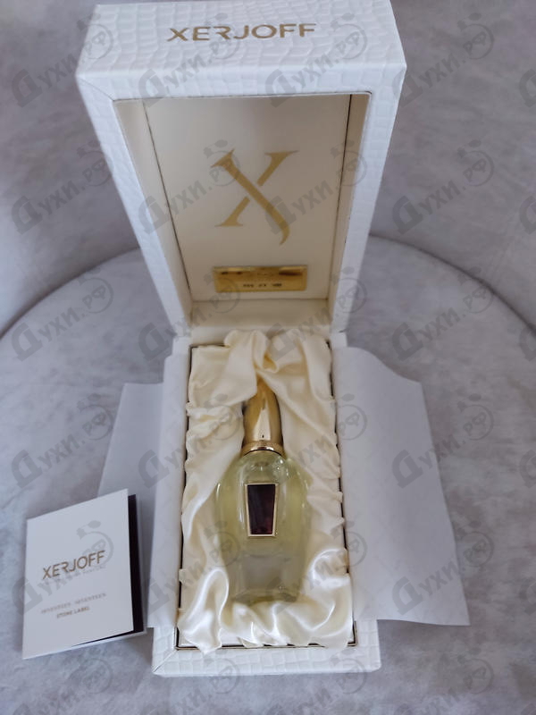 Духи Damarose от Xerjoff Отзыв Xerjoff Damarose