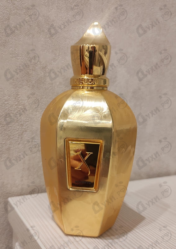 Парфюмерия Don от Xerjoff Отзывы Xerjoff Don