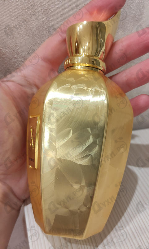 Парфюм Xerjoff Don Духи Don от Xerjoff