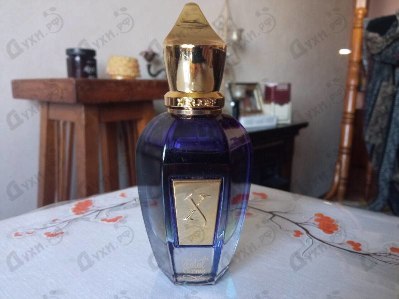 Отзывы Xerjoff Fatal Charme