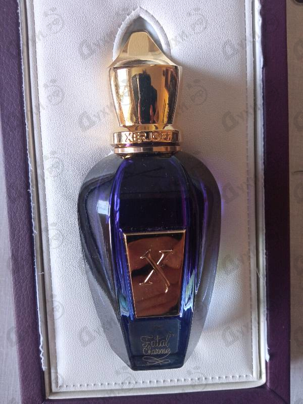 Отзыв Xerjoff Fatal Charme