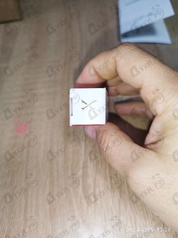 Купить 1861 Renaissance от Xerjoff