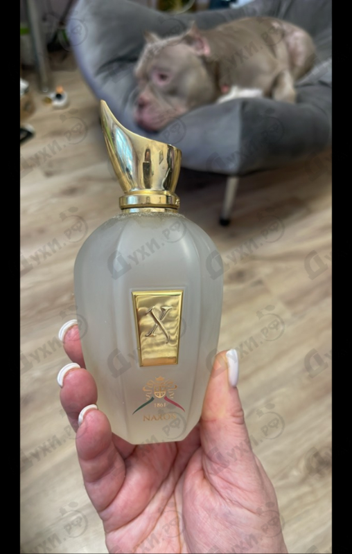 Купить 1861 Naxos от Xerjoff