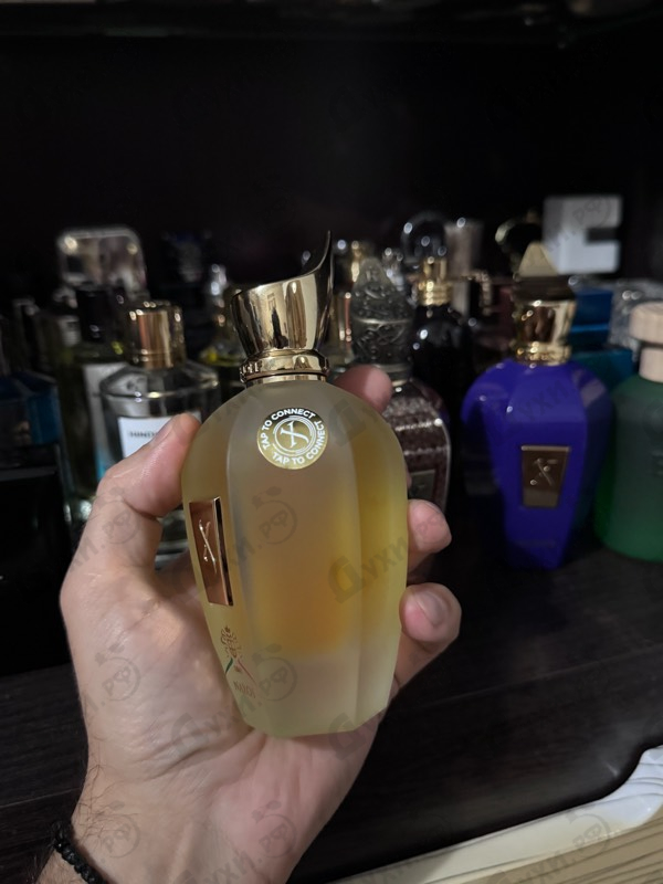 Парфюмерия 1861 Naxos от Xerjoff