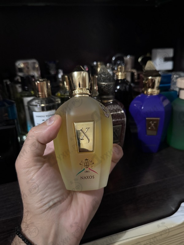 Парфюмерия 1861 Naxos от Xerjoff