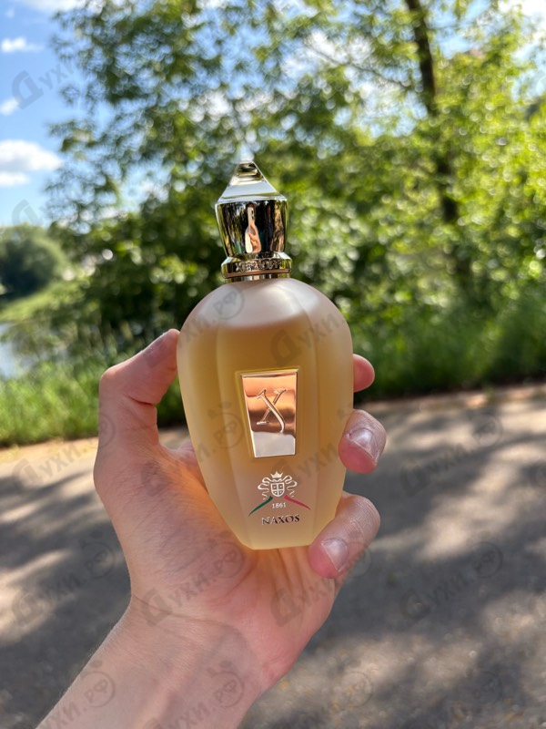 Купить 1861 Naxos от Xerjoff