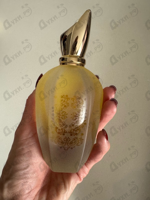 Духи 1861 Naxos от Xerjoff