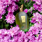 Духи 1861 Naxos от Xerjoff