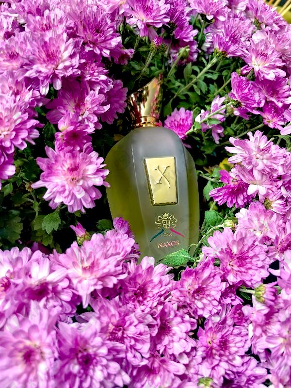 Отзыв Xerjoff 1861 Naxos