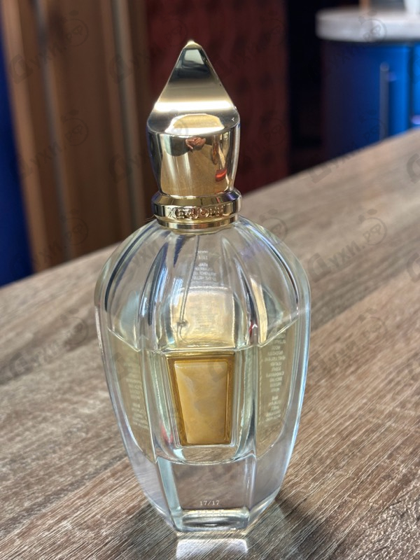 Купить Elle от Xerjoff