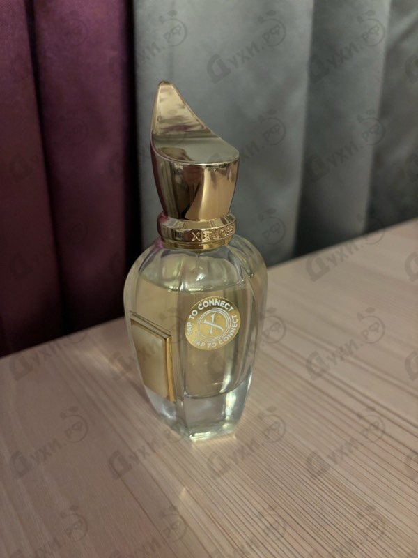 Парфюмерия Elle от Xerjoff