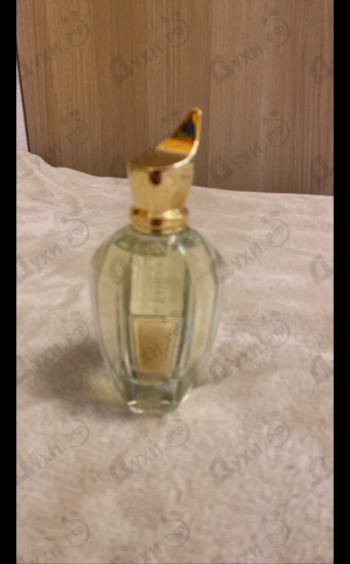 Купить Elle от Xerjoff