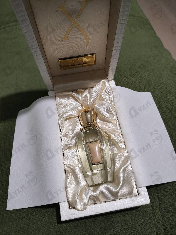 Отзыв Xerjoff Elle