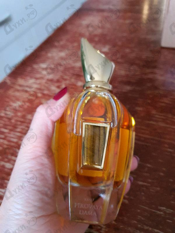 Парфюмерия Xerjoff Pikovaya Dama Купить Pikovaya Dama от Xerjoff