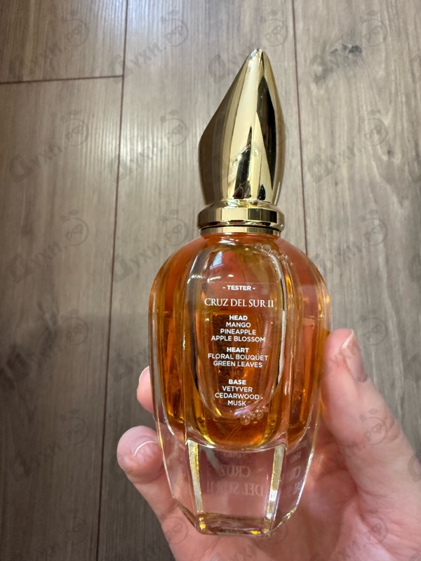 Отзывы Xerjoff Cruz Del Sur II