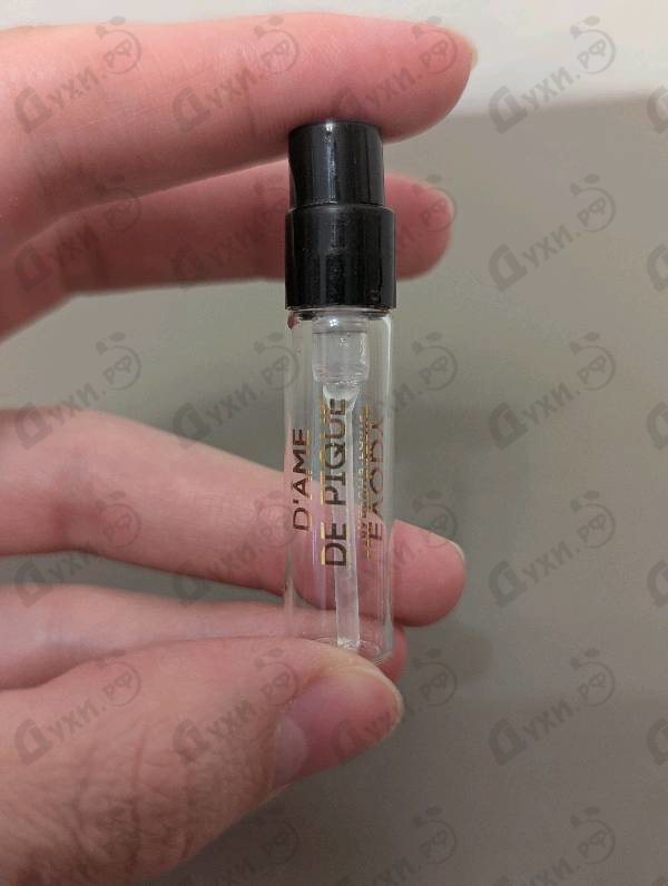 Купить D'ame De Pique от Evody Parfums
