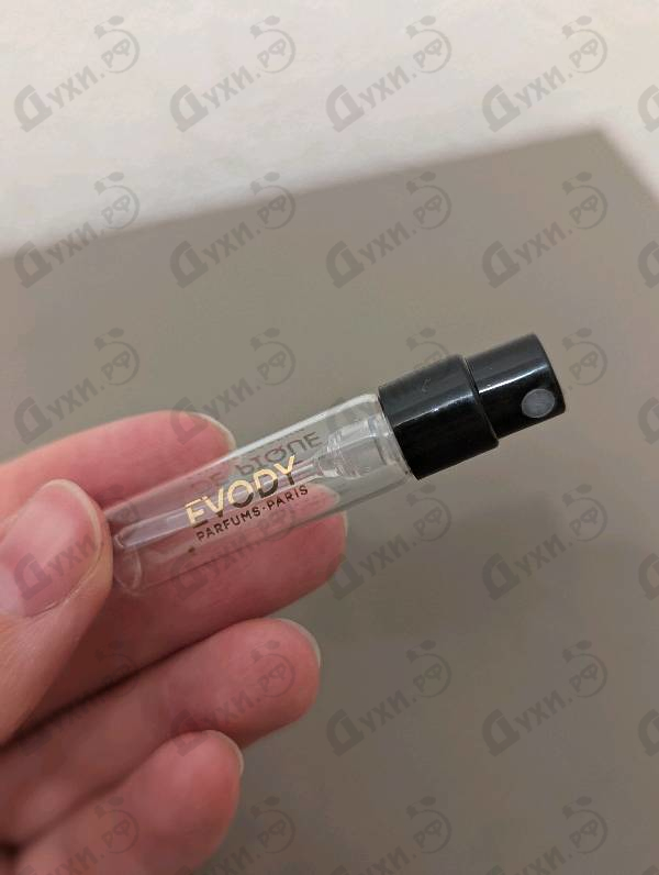 Купить D'ame De Pique от Evody Parfums