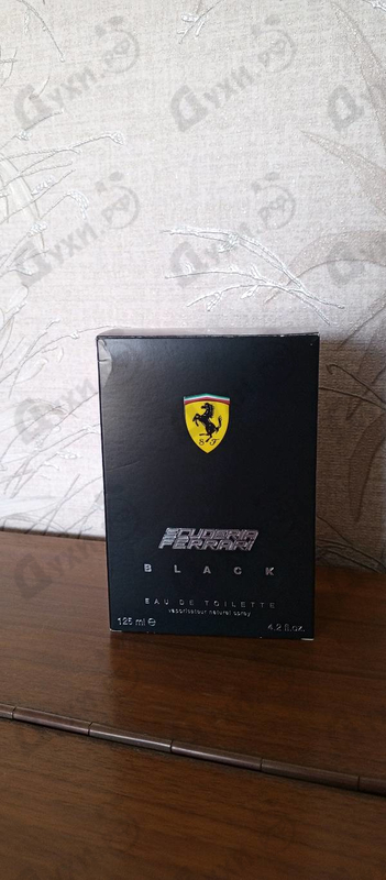 Купить Scuderia Ferrari Black от Ferrari