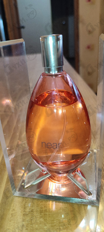 Парфюмерия Gap Near Купить Near от Gap