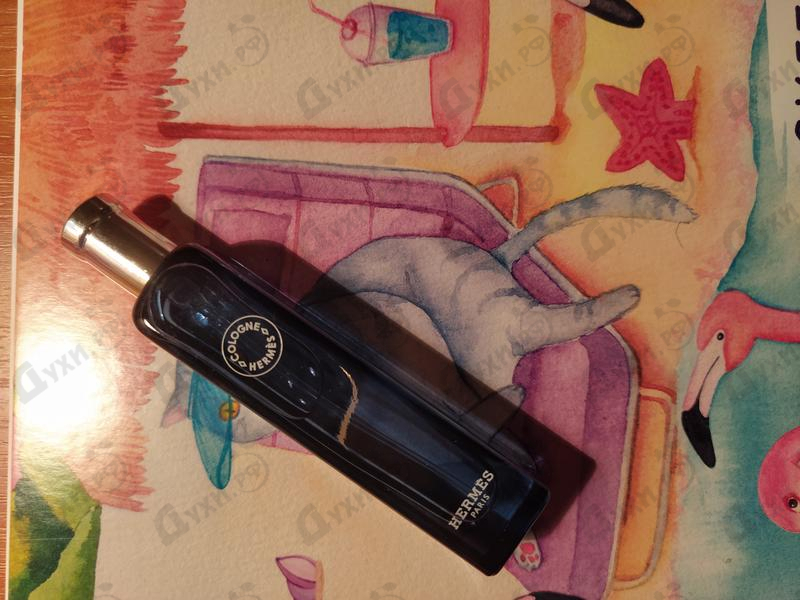 Духи Hermes Eau De Citron Noir Парфюмерия Eau De Citron Noir от Hermes