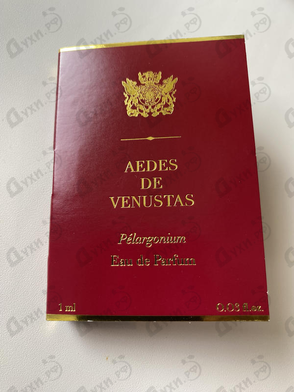 Купить Pelargonium от Aedes de Venustas