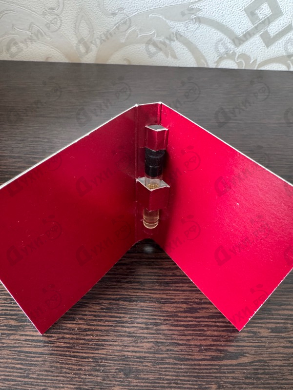 Купить Pelargonium от Aedes de Venustas