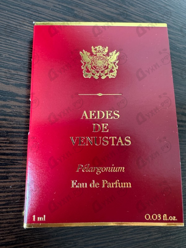 Купить Pelargonium от Aedes de Venustas