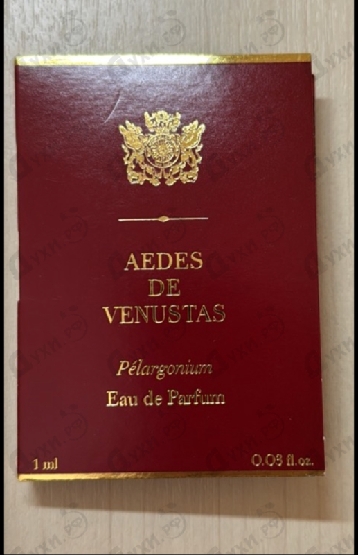 Купить Pelargonium от Aedes de Venustas