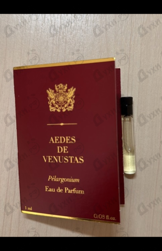 Купить Pelargonium от Aedes de Venustas