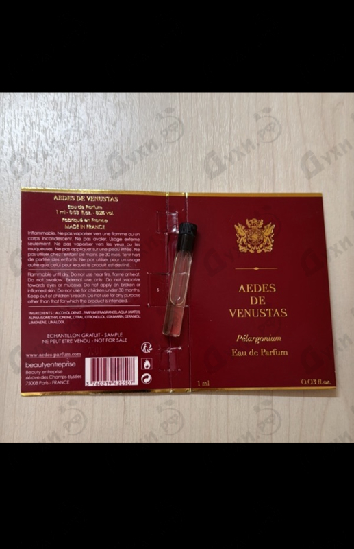 Отзывы Aedes de Venustas Pelargonium