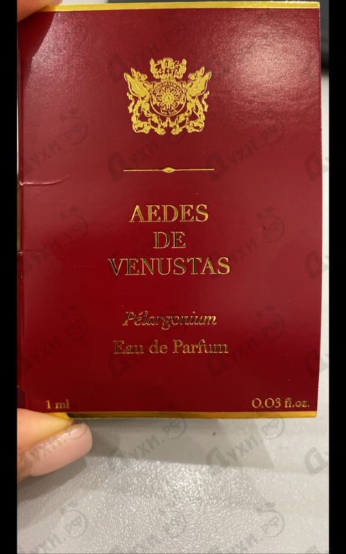 Отзыв Aedes de Venustas Pelargonium