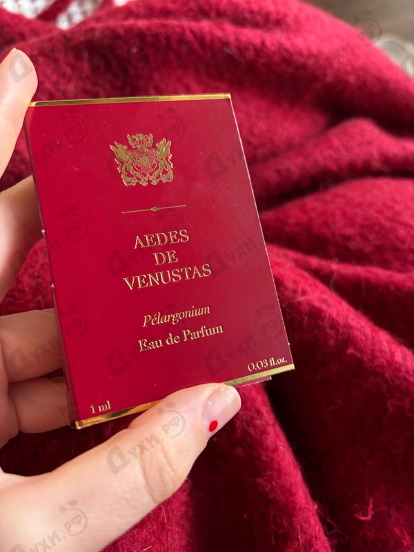 Отзывы Aedes de Venustas Pelargonium