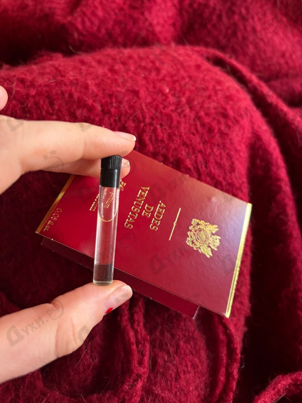 Купить Aedes de Venustas Pelargonium