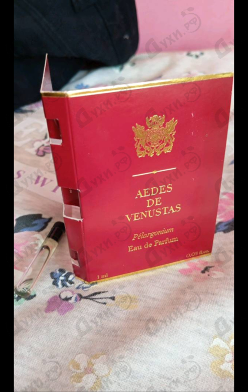 Купить Aedes de Venustas Pelargonium