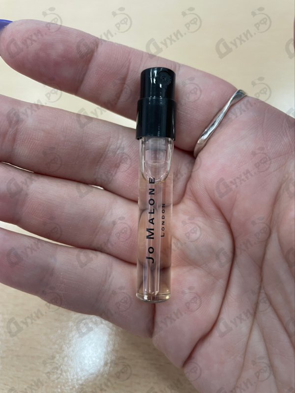 Духи Jasmine Sambac & Marigold от Jo Malone Отзывы Jo Malone Jasmine Sambac & Marigold