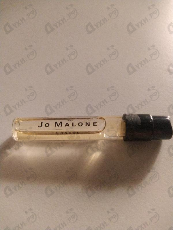 Парфюмерия Jasmine Sambac & Marigold от Jo Malone