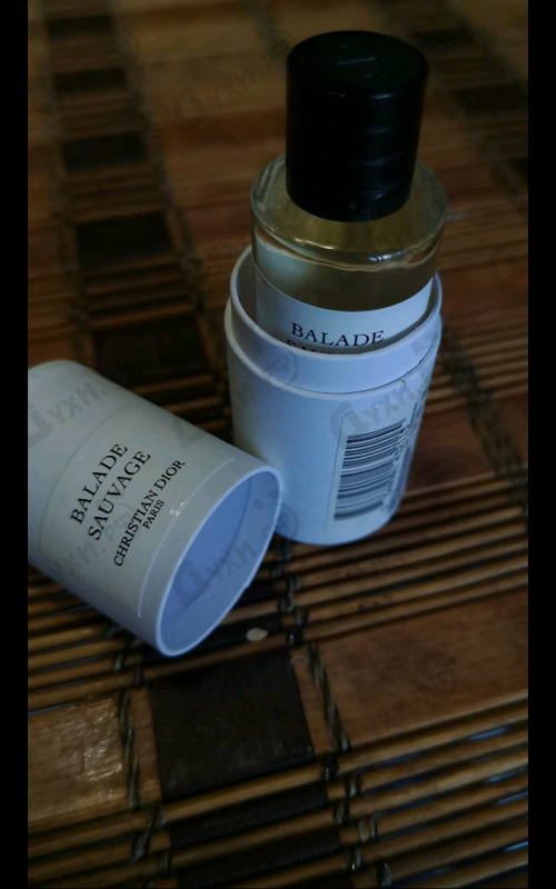 Купить Balade Sauvage от Christian Dior