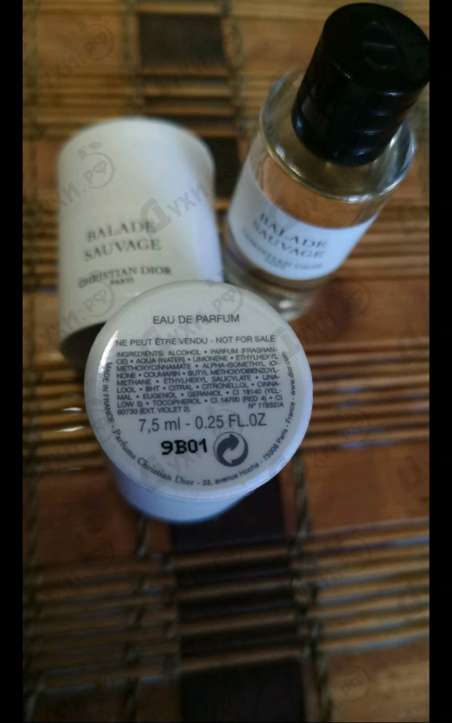 Купить Balade Sauvage от Christian Dior