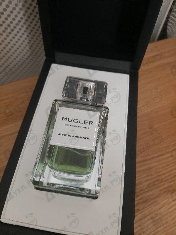 Купить Mystic Aromatic от Thierry Mugler