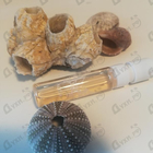 Отзывы Paco Rabanne Olympea Acqua Eau De Parfum Legere