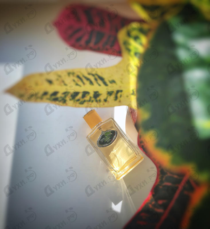 Парфюмерия Infusion Mandarine от Prada