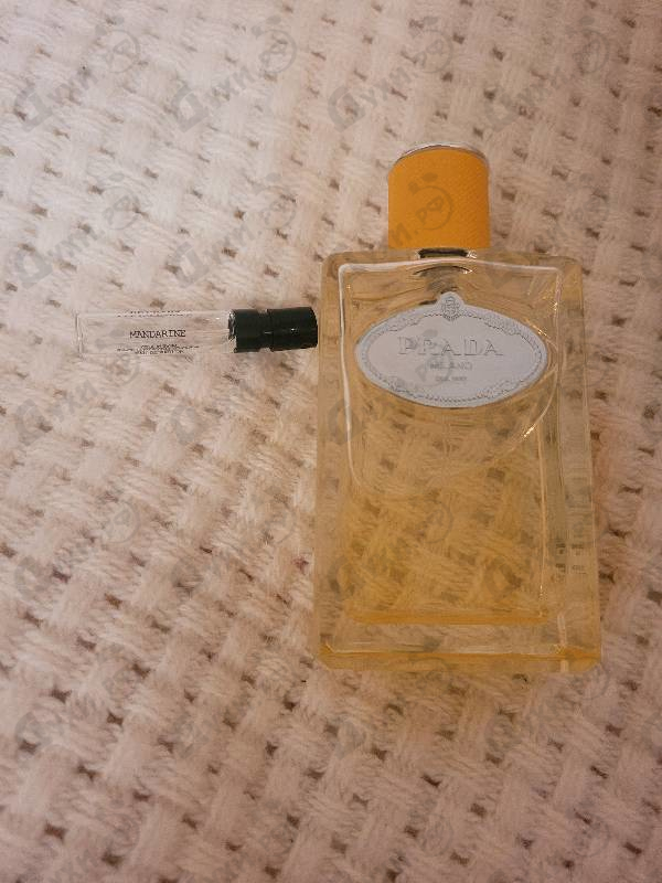 Духи Infusion Mandarine от Prada