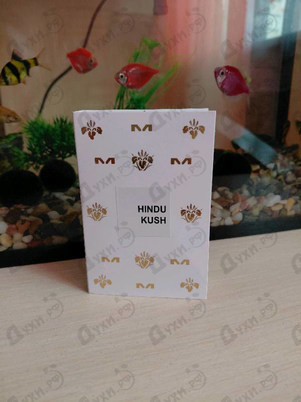 Отзывы Mancera Hindu Kush
