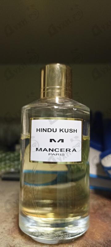 Купить Hindu Kush от Mancera