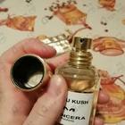Отзывы Mancera Hindu Kush