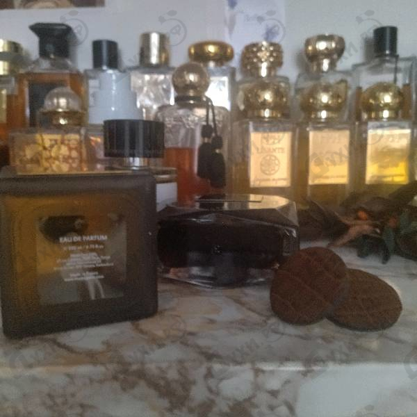 Купить Miss Dumonten от Serge Dumonten