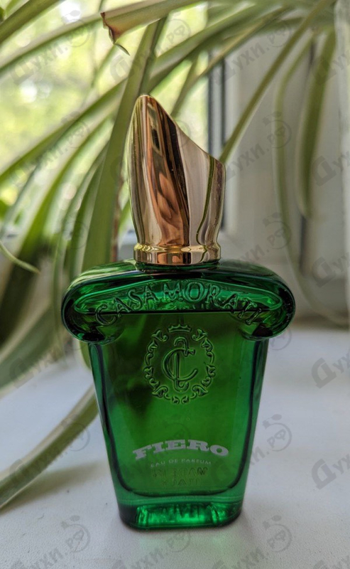 Купить Xerjoff Fiero Духи Fiero от Xerjoff