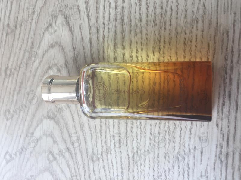 Парфюмерия Hermessence Cardamusc от Hermes Отзывы Hermes Hermessence Cardamusc