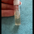 Отзывы Lancome Oranges Bigarades